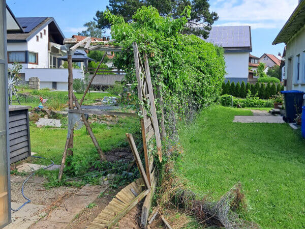 Bewachsenen Zaun in Büchenbronn entfernt