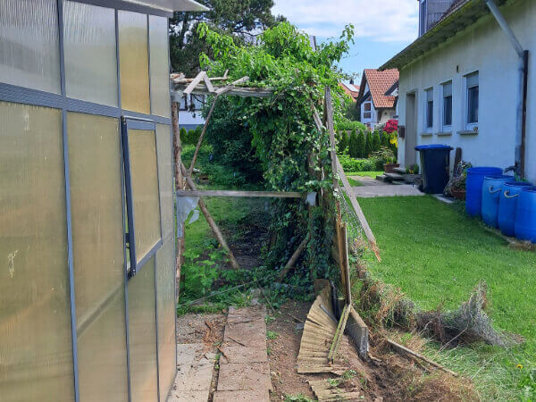 In einer Hecke eingewachsenen Zaun von Flo Nowak entfernt