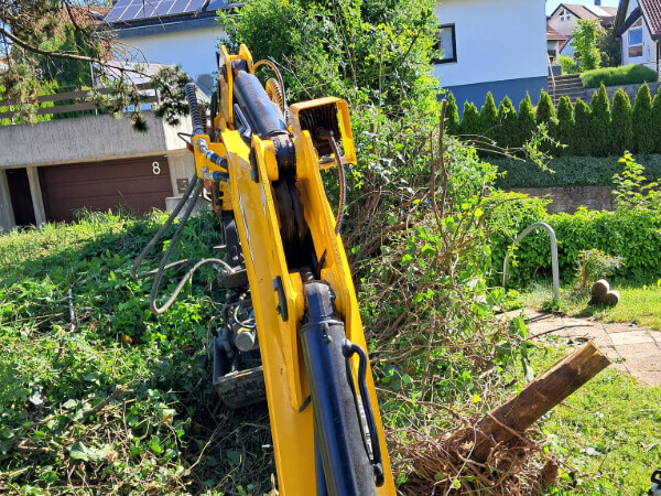 Alte Hecke mit eingewachsenem Zaun in Ebersbach von Flo Nowak mit dem Bagger gerodet